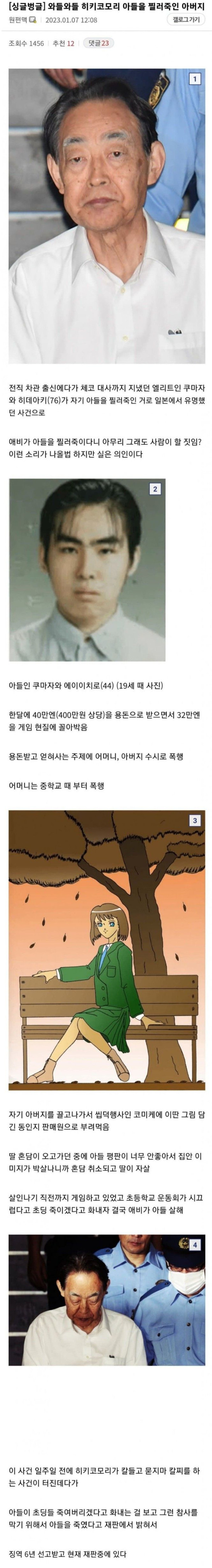 히키코모리 아들을 살해한 아버지